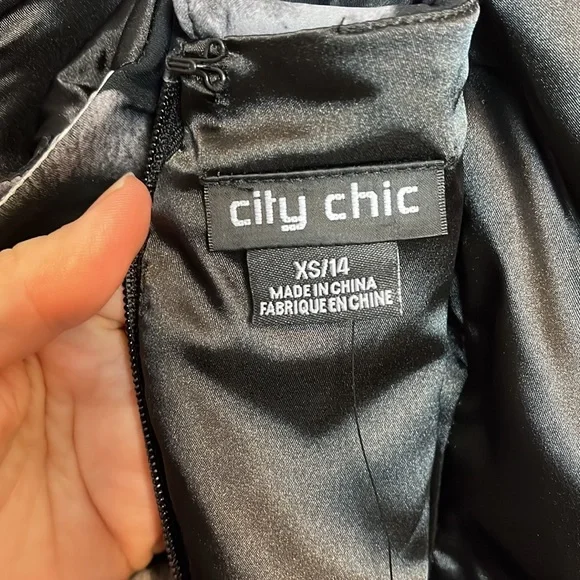 City Chic Rose Shadows Dress XS/14 - Picture 11 of 16